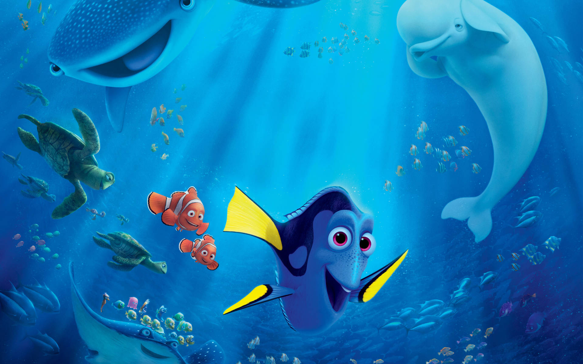 Finding Dory And Nemo Disney 4k Ultra Wide Wallpaper