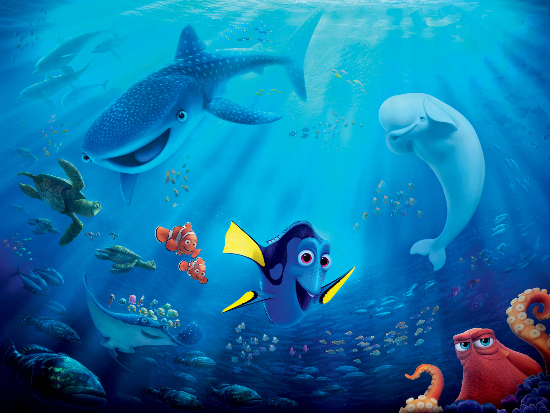 Finding Dory Animal Creatures Wallpaper