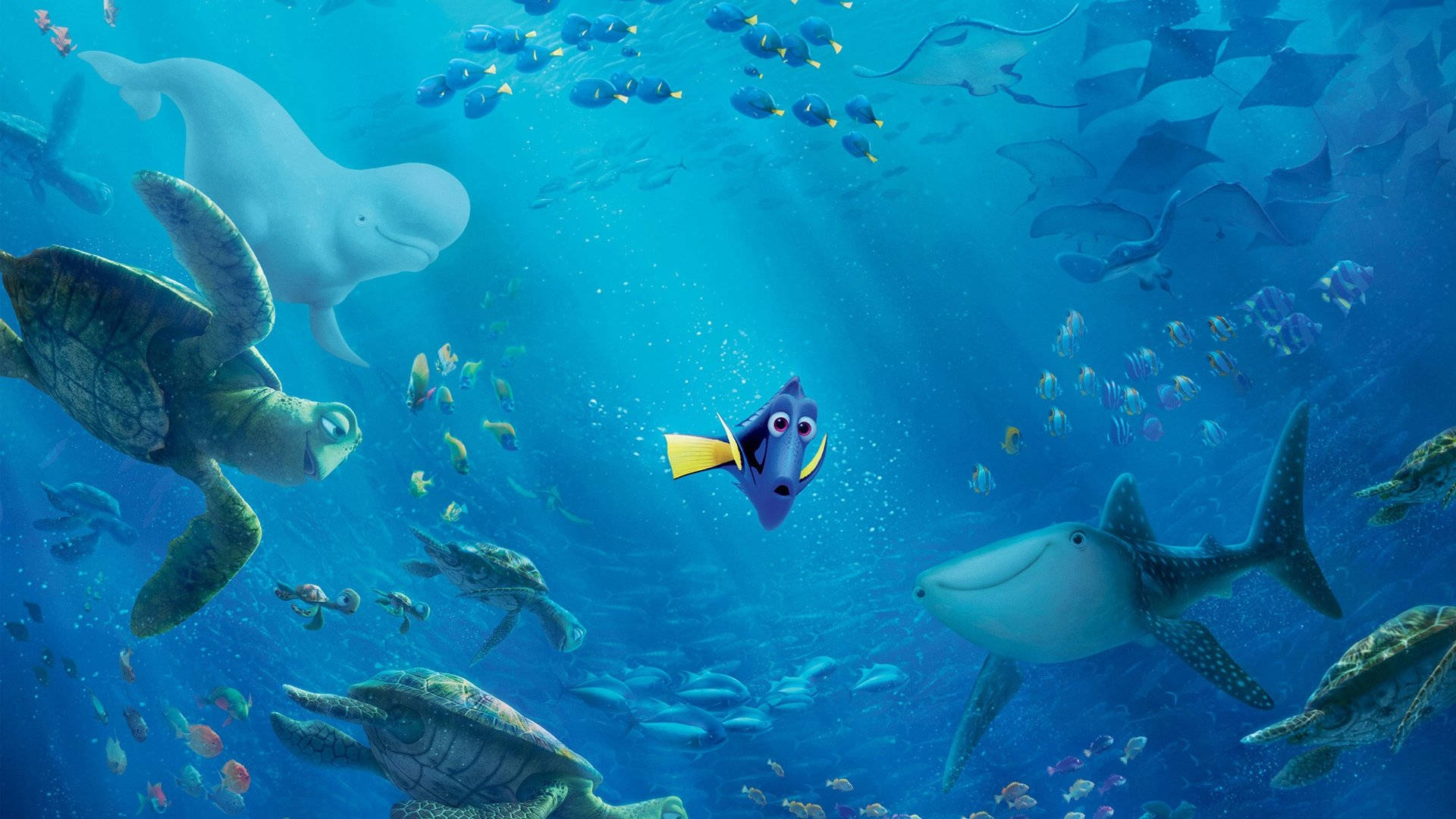 Finding Dory Background Of Ocean Animals Wallpaper