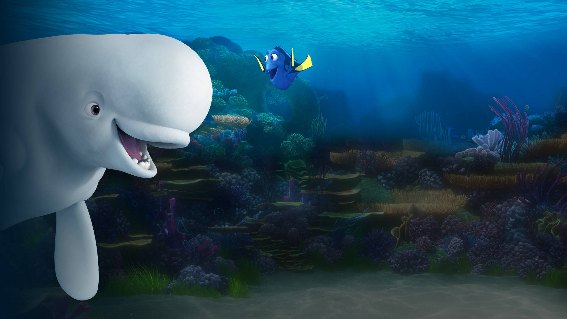 Finding Dory Bailey Wallpaper