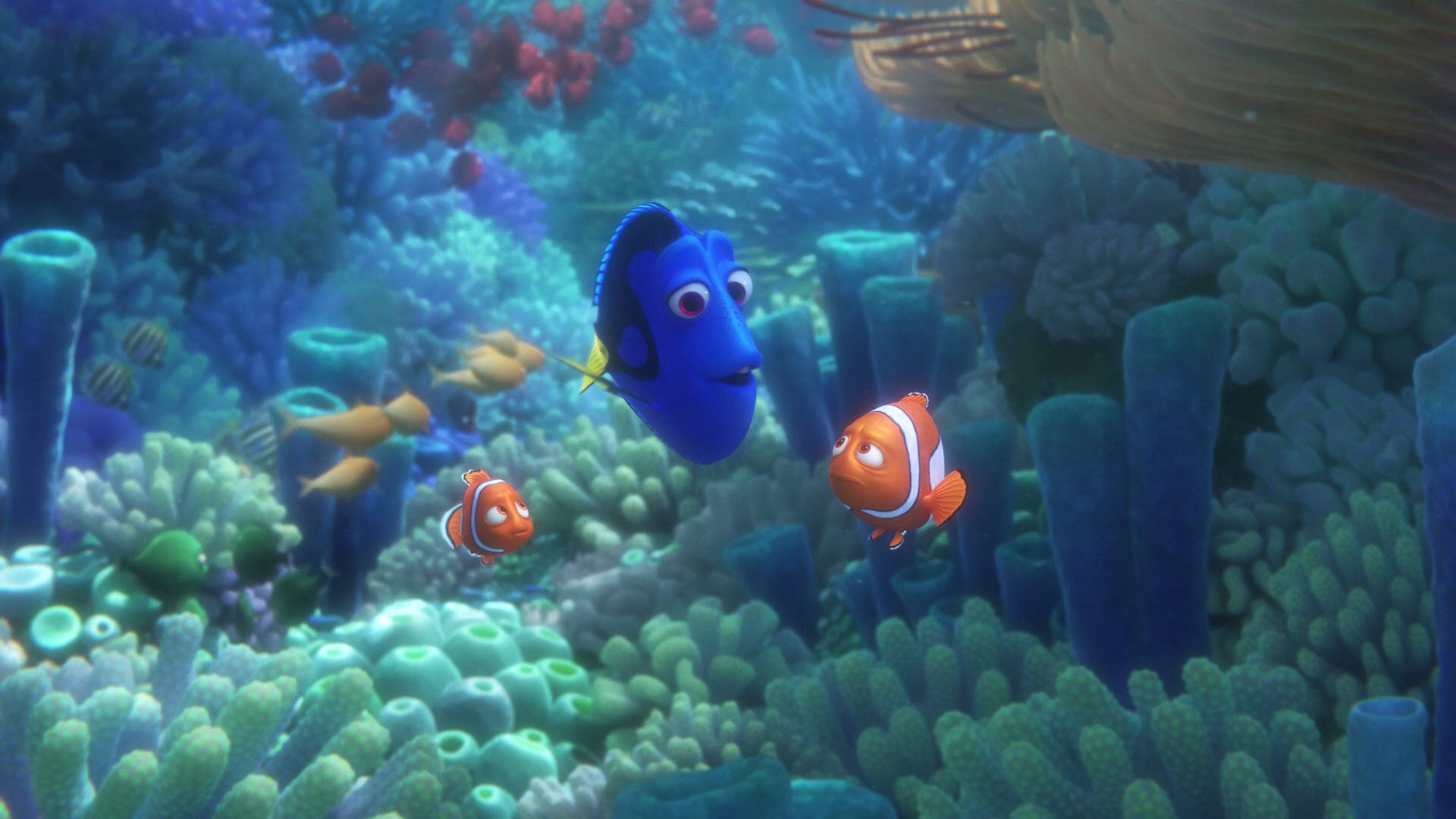 Finding Dory Characters At Sponge Corals Wallpaper