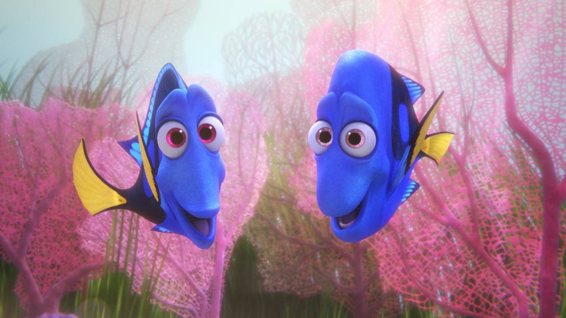 Finding Dory Charlie And Jenny Wallpaper