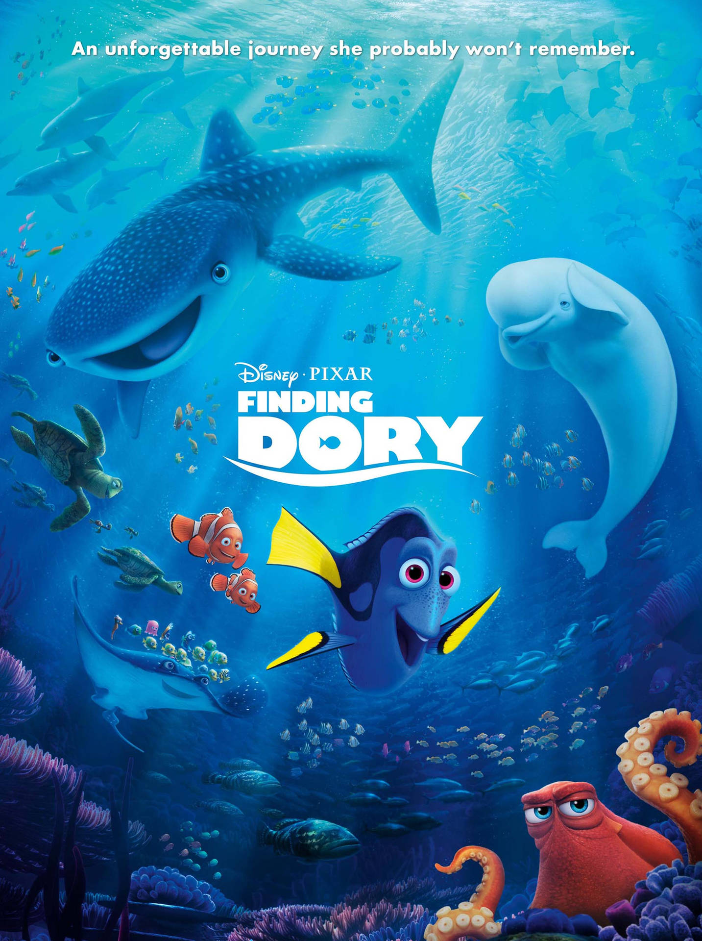 Finding Dory Ocean Creatures Movie Poster Wallpaper