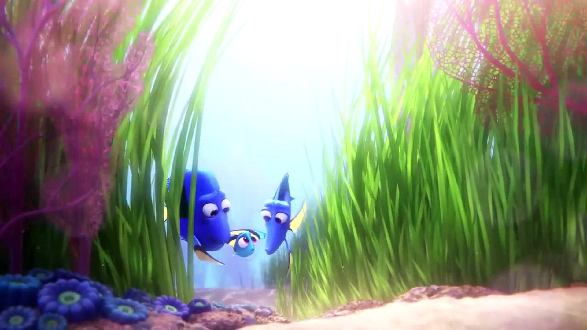 Finding Dory Supportive Parents To Dory Wallpaper
