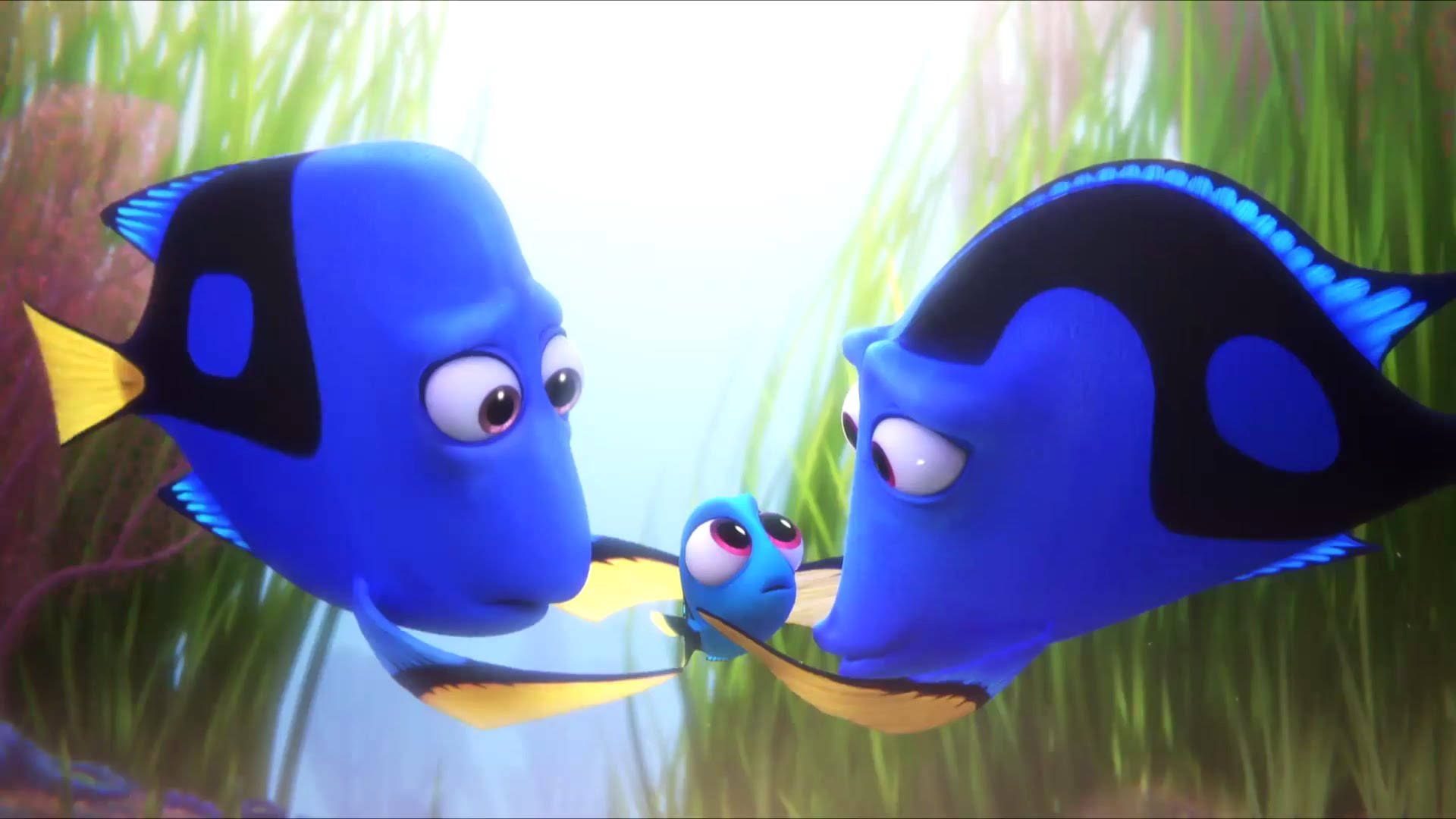 Finding Dory Worried Parents Wallpaper