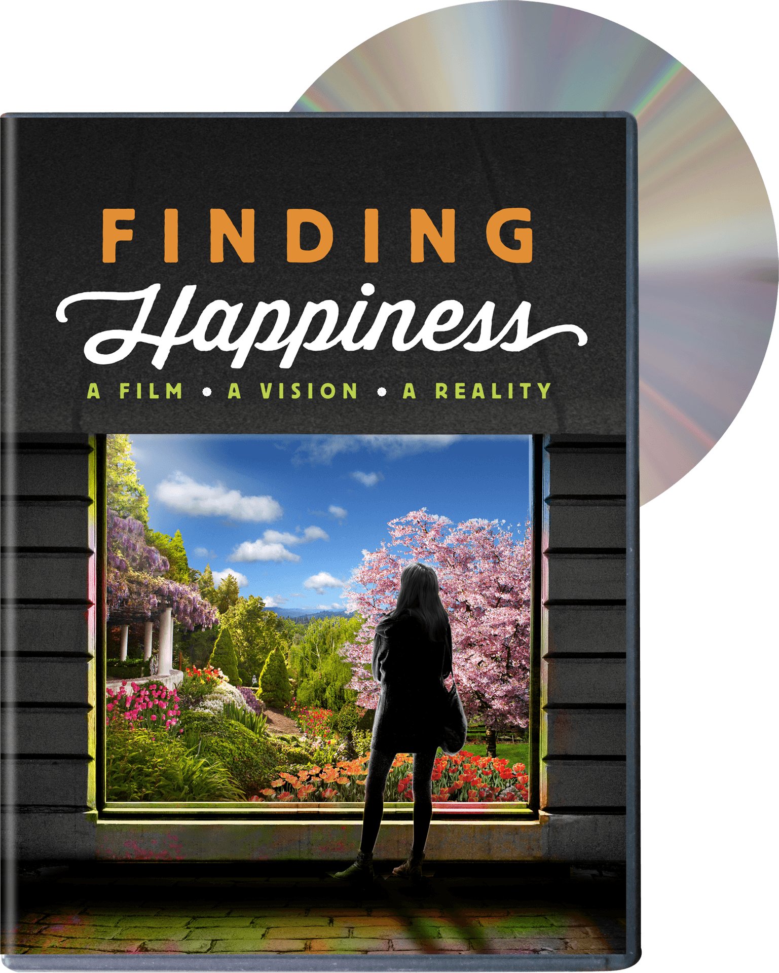 Finding Happiness D V D Cover PNG