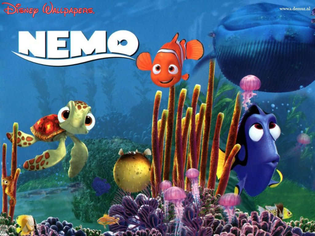 Fundodo Filme Procurando Nemo Em 1024 X 768