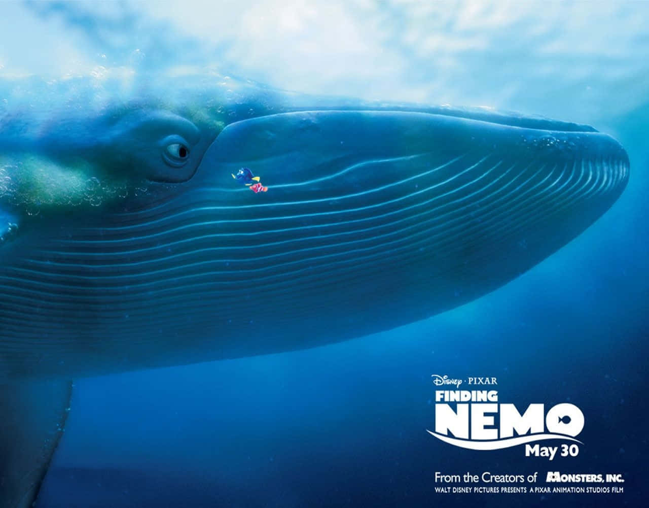 Underwater Adventure with Nemo and Friends