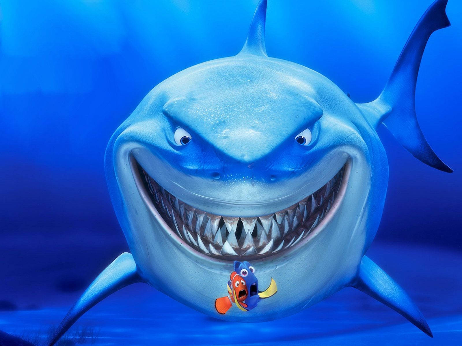 Finding Nemo Bruce With Dory Marlin Wallpaper