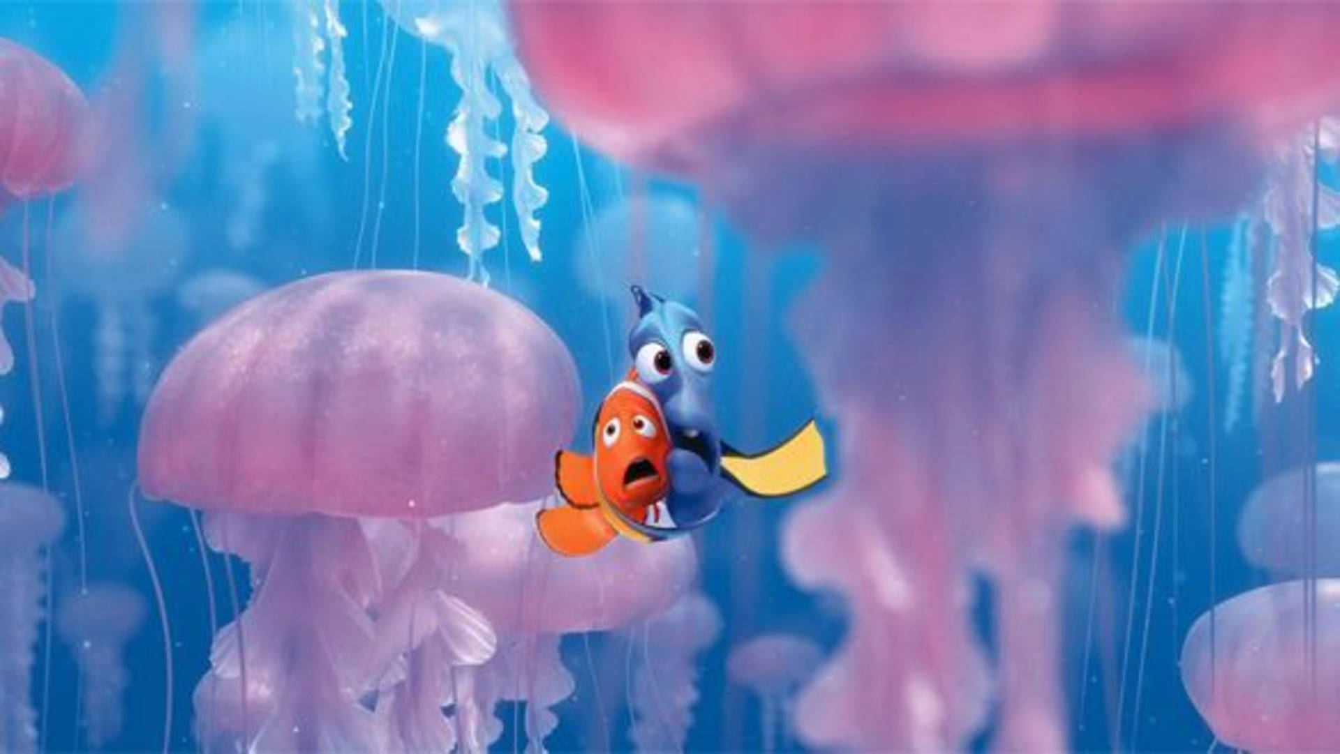 Finding Nemo Huge Pink Jellyfishes Wallpaper