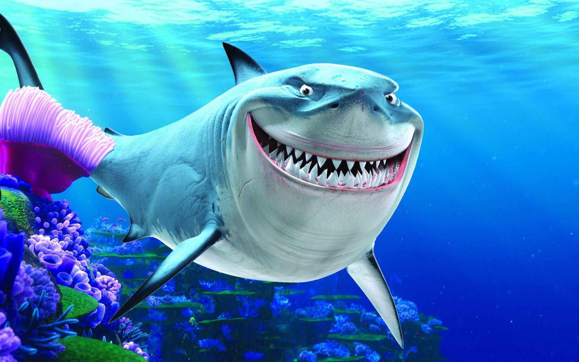 Finding Nemo Menacing Shark Bruce Background