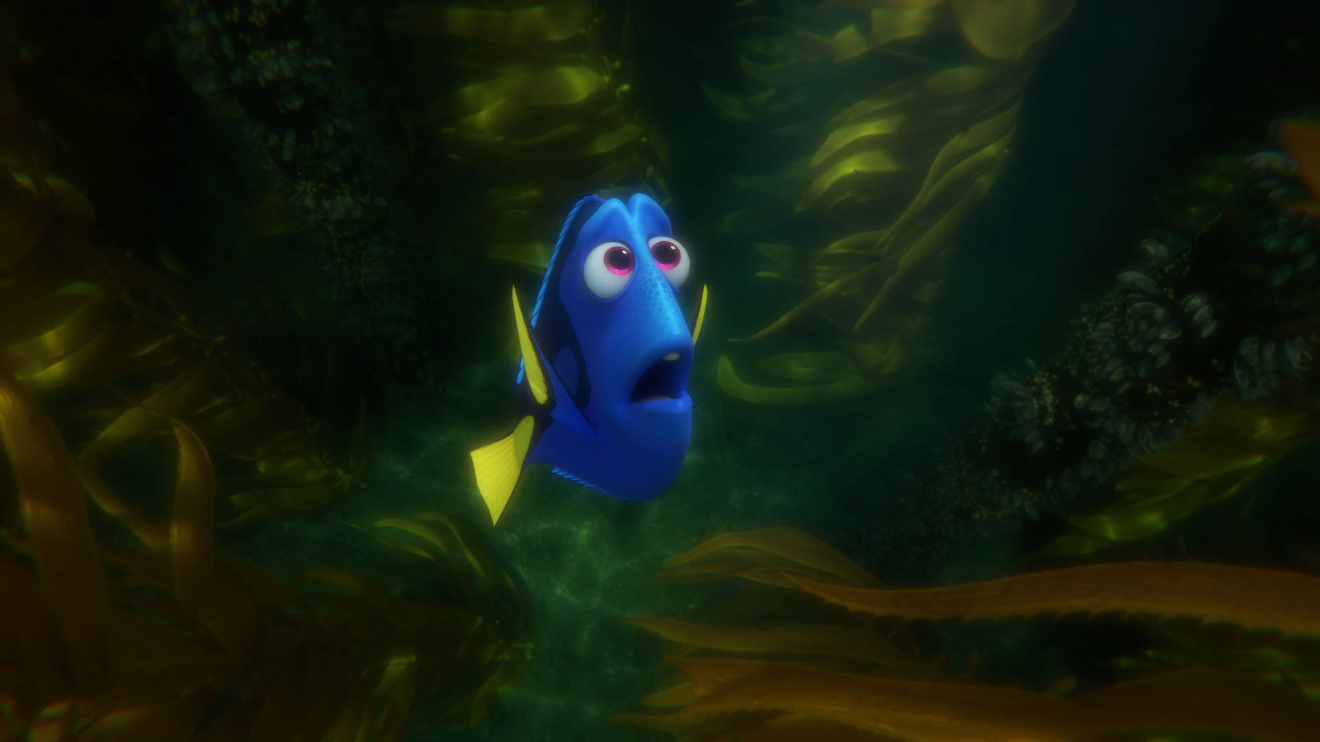 Finding Nemo Scene With Dory Background