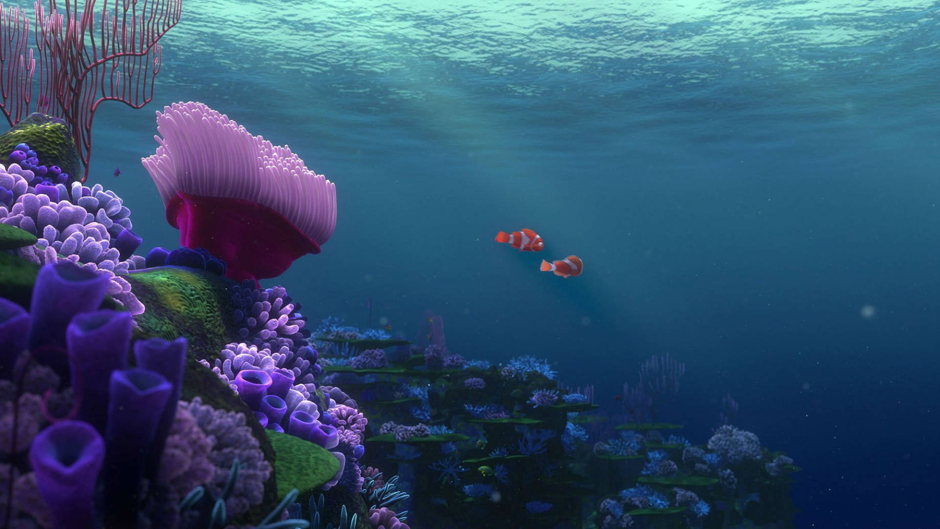 Finding Nemo Tropical Fish Background