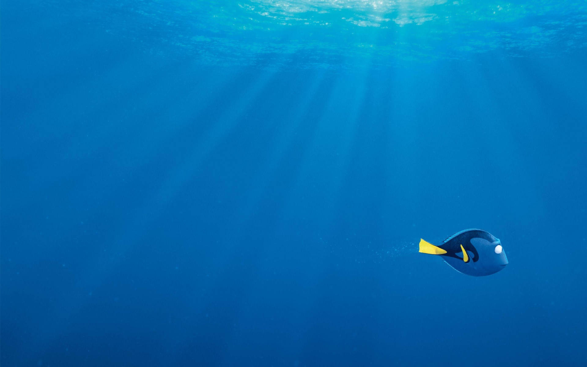 Finding Nemo With Lonely Dory Background
