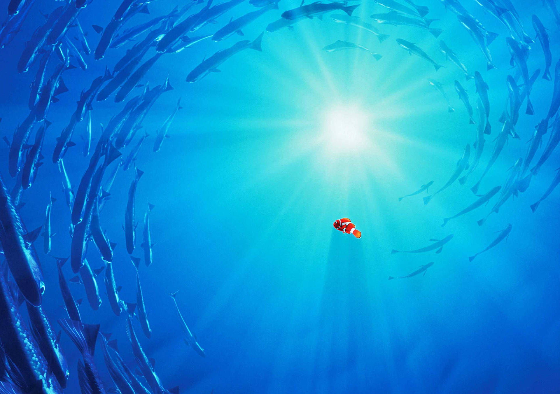 Finding Nemo With School Of Fish Background