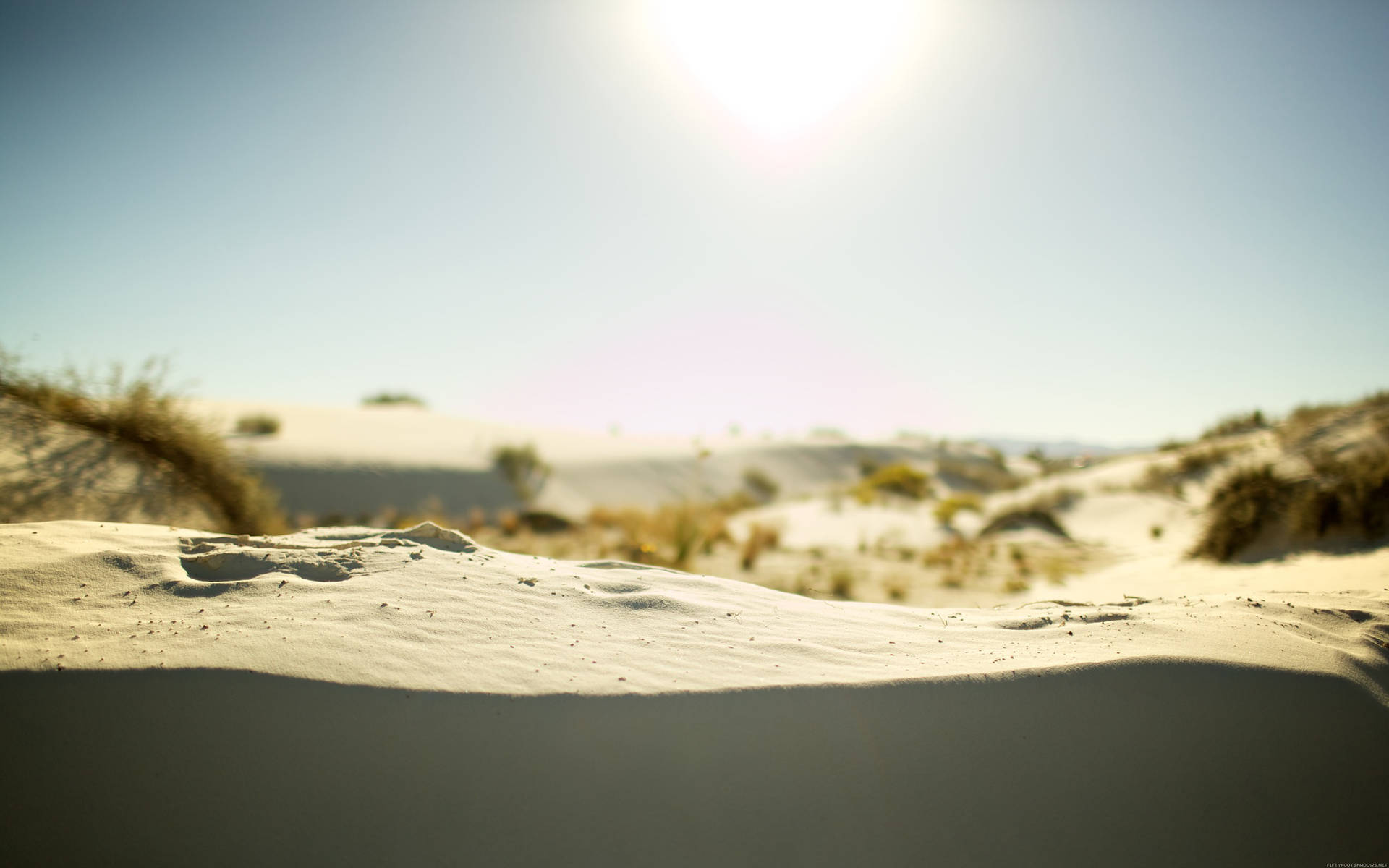 Fine White Desert Sun Wallpaper