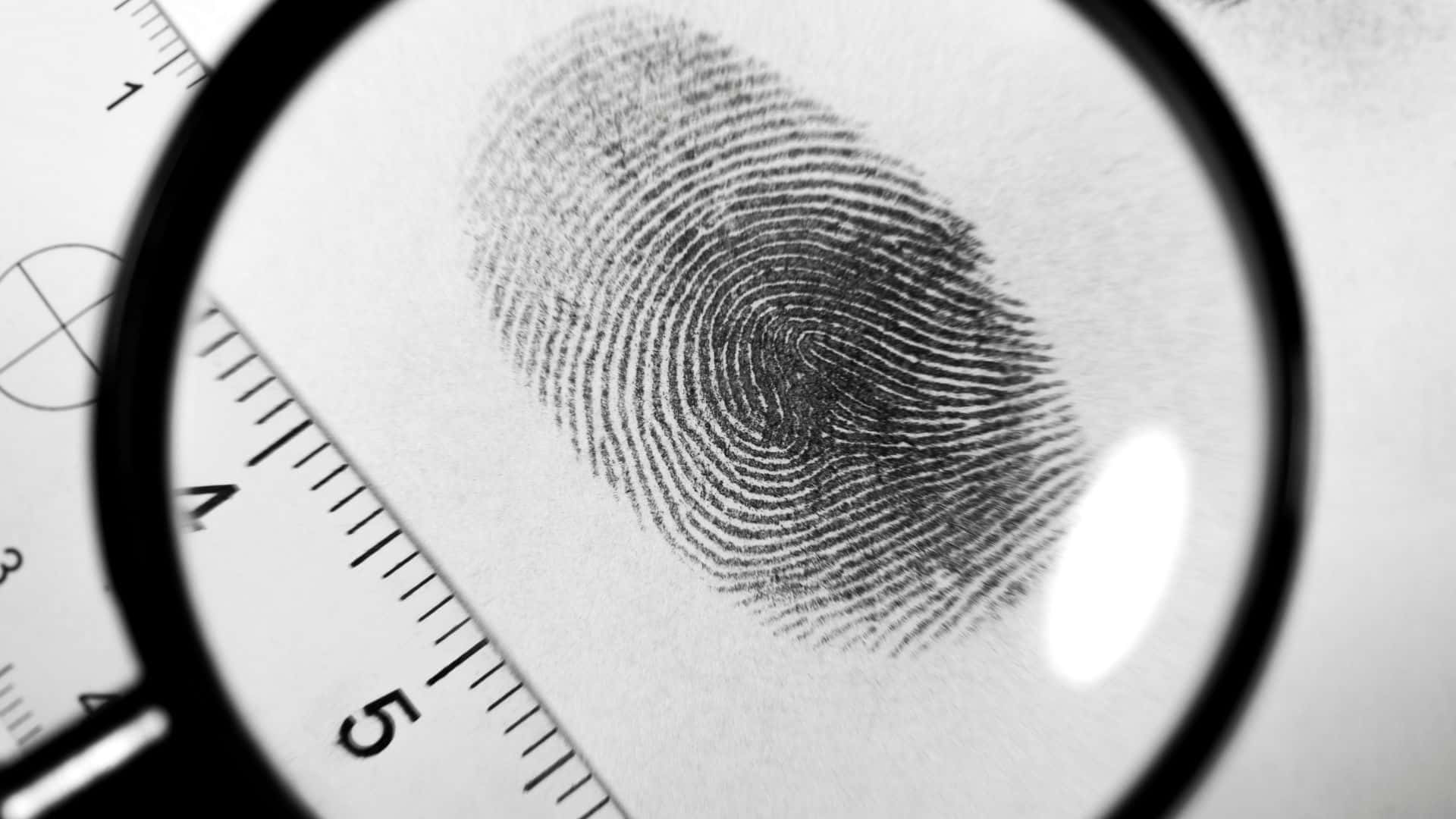 Caption: High-resolution image of a unique fingerprint pattern