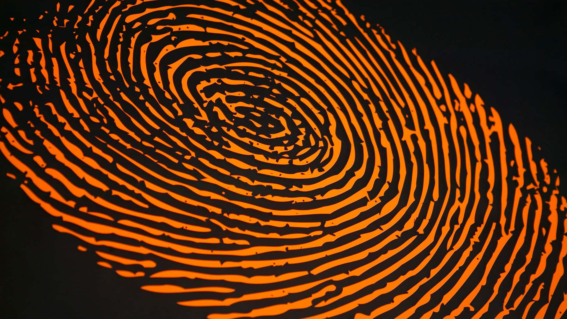 Intricate Fingerprint Pattern on a Dark Background