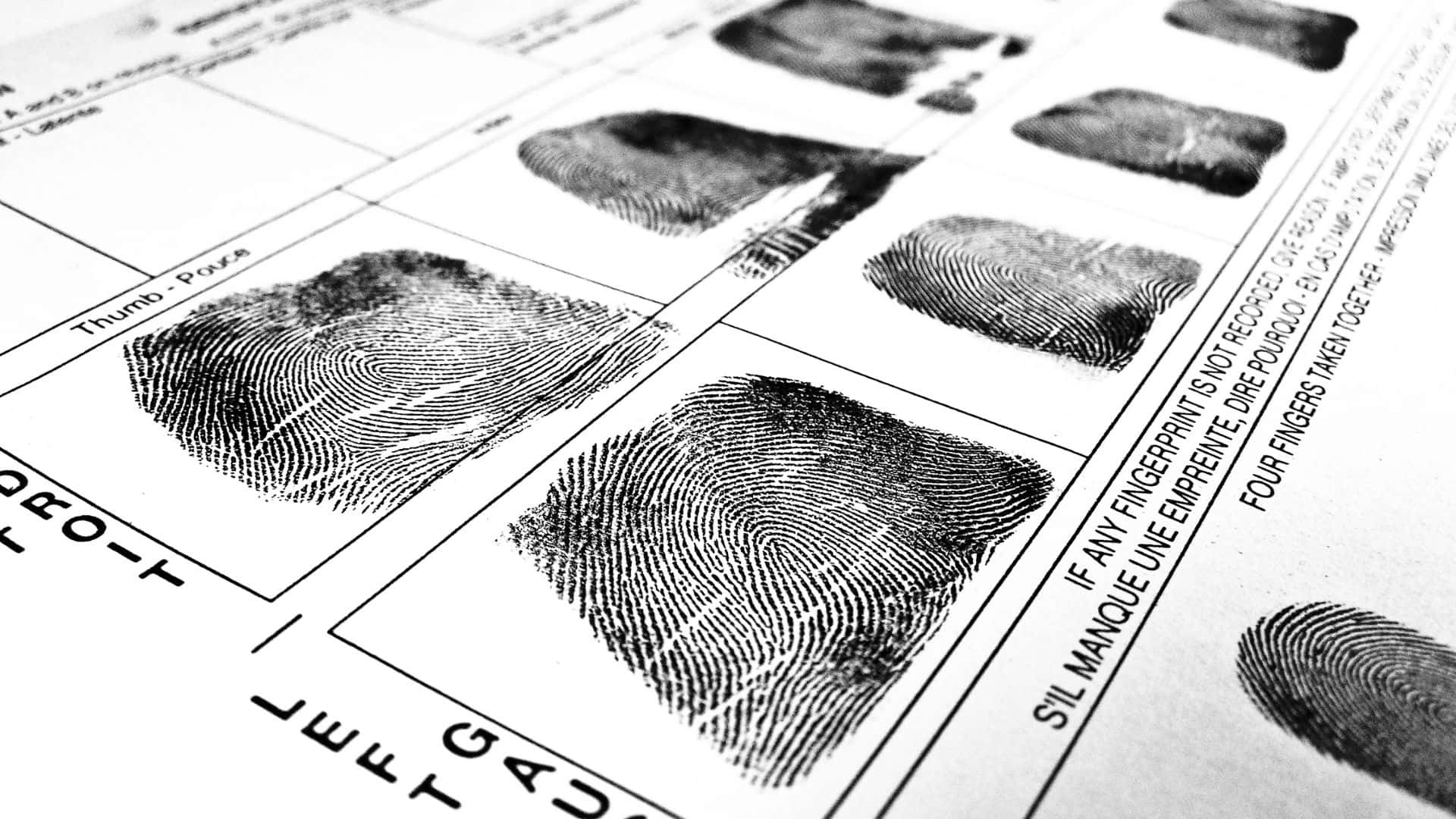 Sectionname ru настройки отпечатков профилей en fingerprints. Дактилоскопия криминалистика. Отпечатки пальцев дактилоскопия. Отпечатки пальцев в криминалистике. Идентификация отпечатков пальцев в криминалистике.