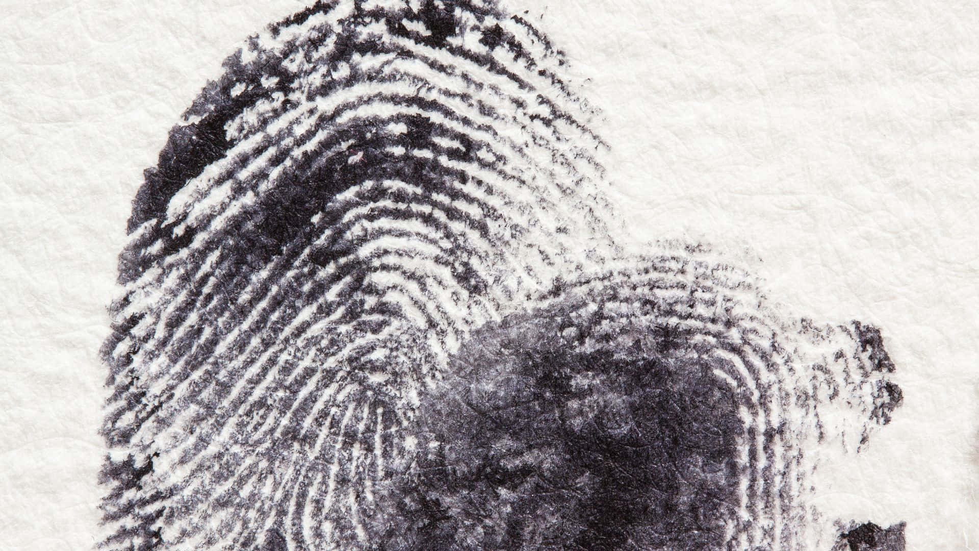Fingerprint Close-up