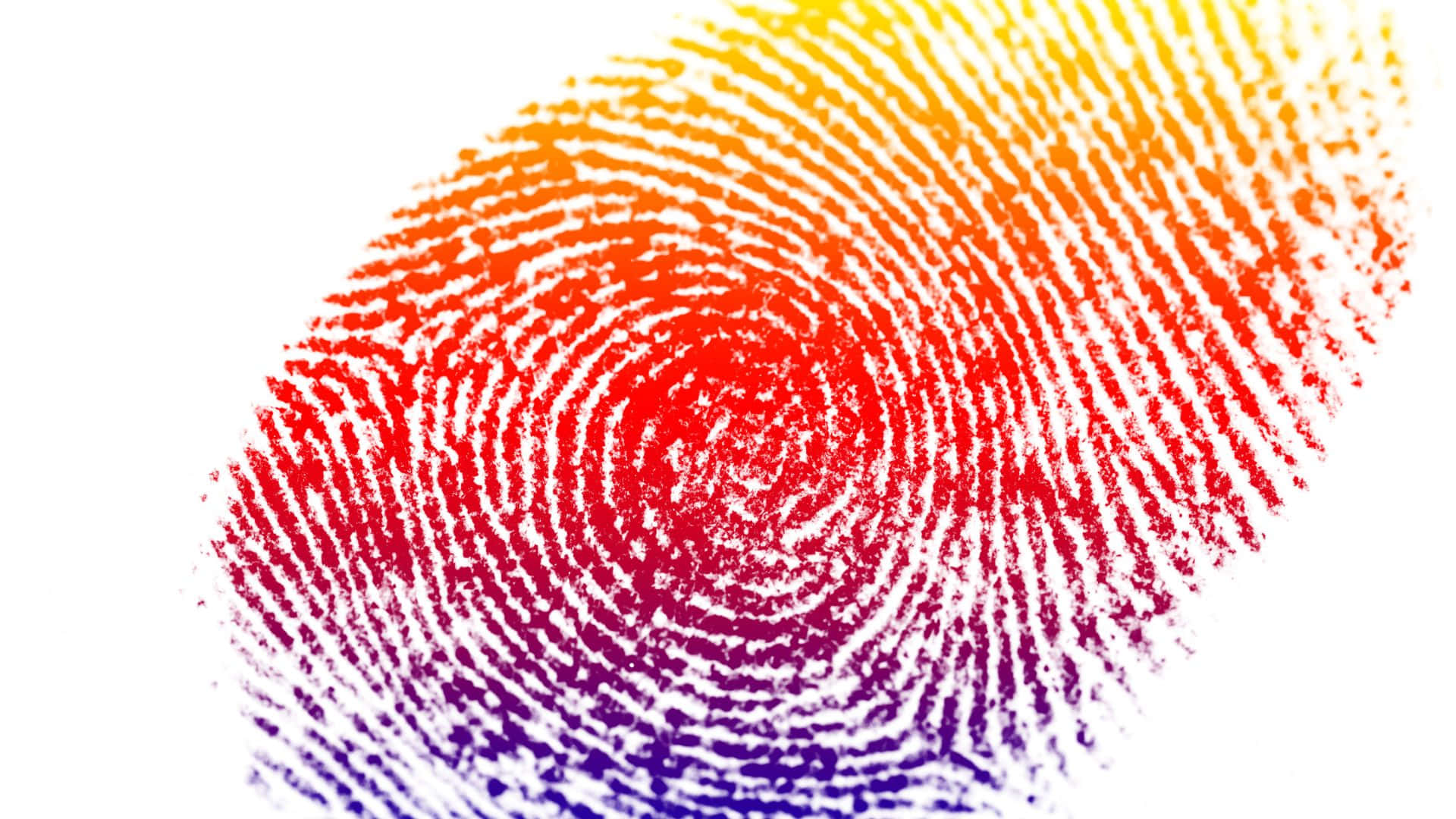 Unique Fingerprint Pattern on a Dark Surface