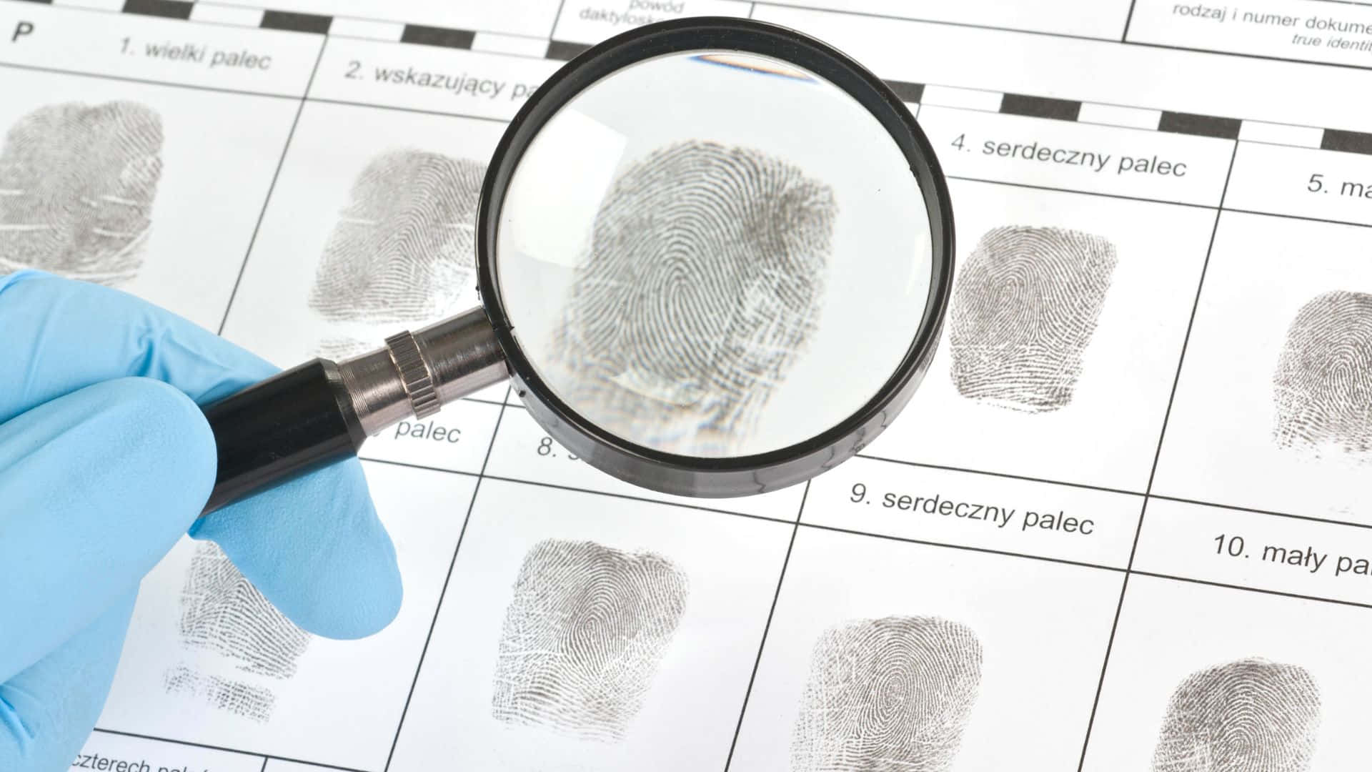 Fingerprint Pattern on a Gradient Background