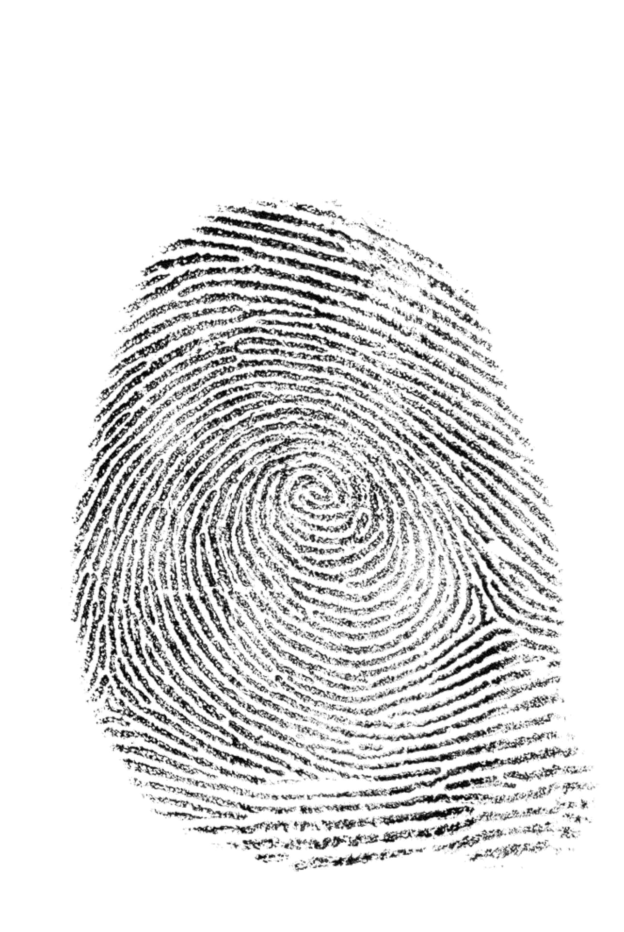 Close-up of a fingerprint on a textured surface.