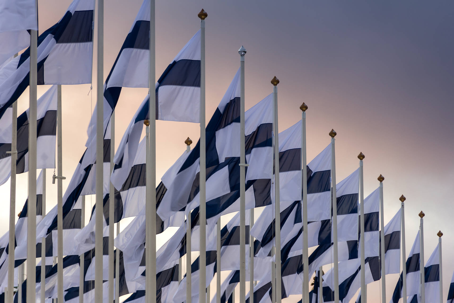 Finland Flags Raised Up Wallpaper