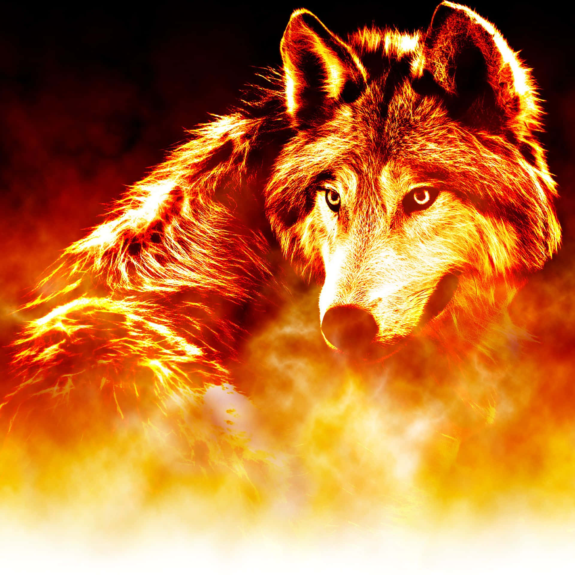 Einmächtiger Feuer- Und Eiswolf Bereit, Die Welt Zu Erobern Wallpaper
