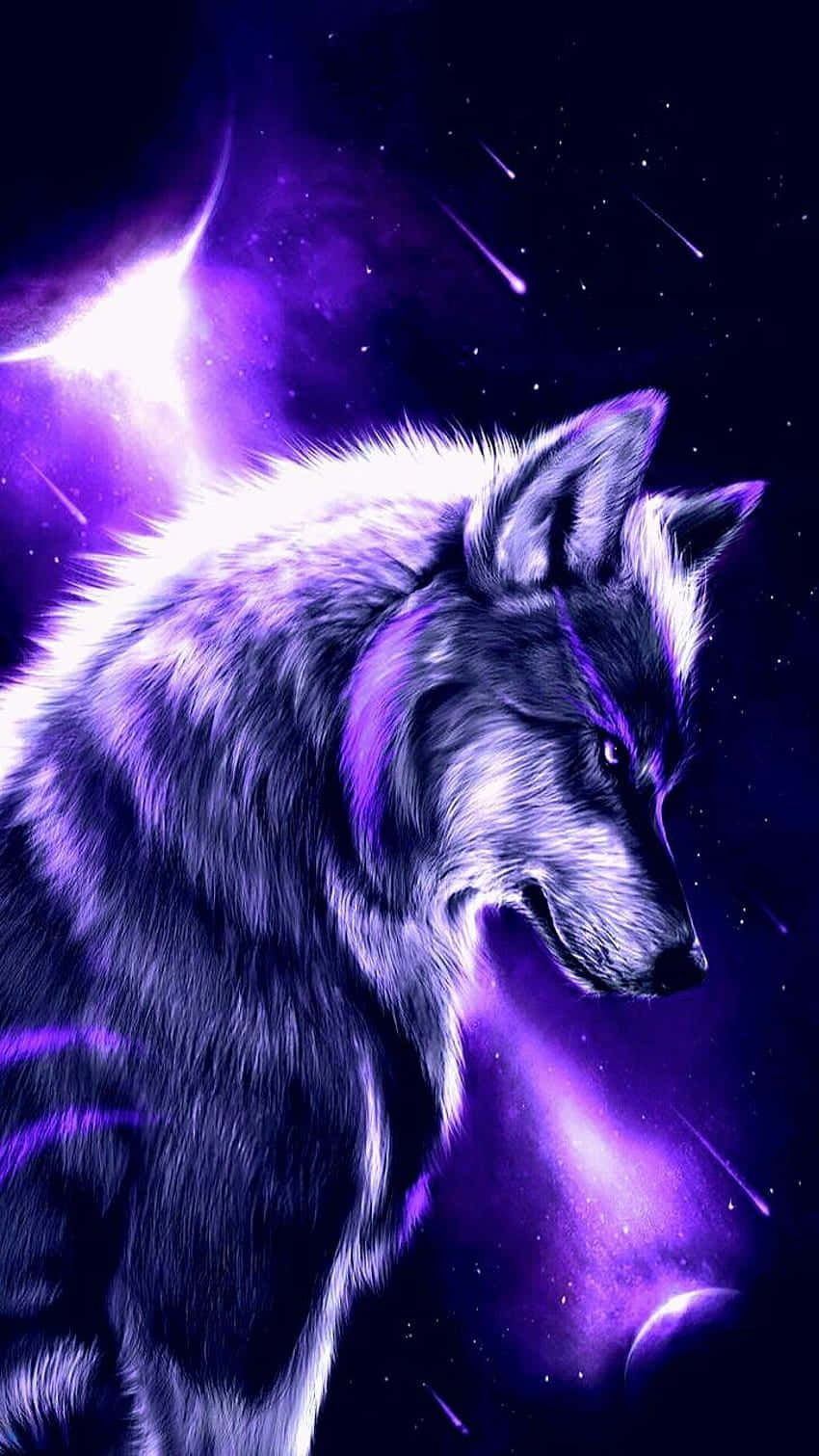 The Majestic Fire and Ice Wolf Illuminated by the Stars Wallpaper