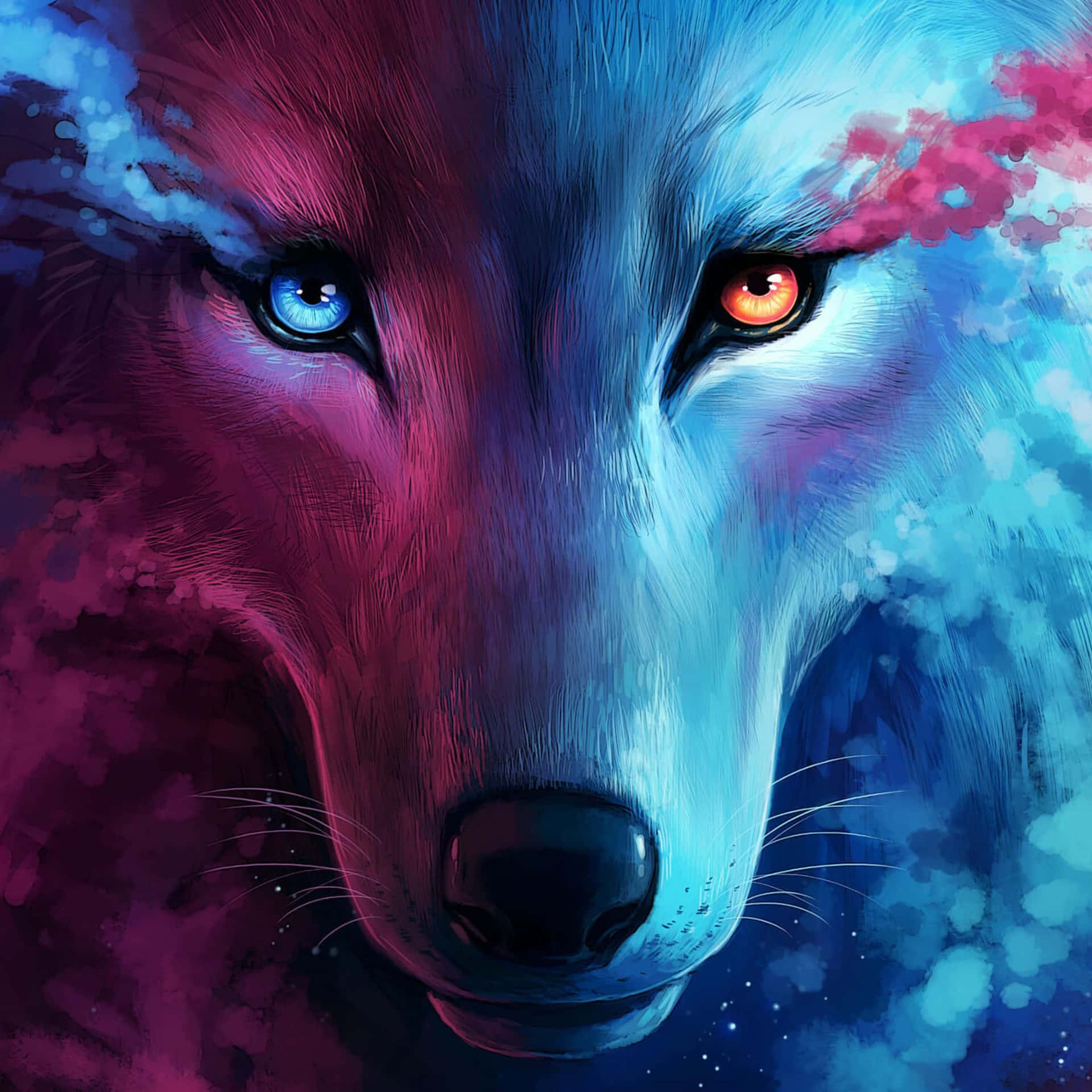 Download Fire And Ice Wolf Wallpaper 