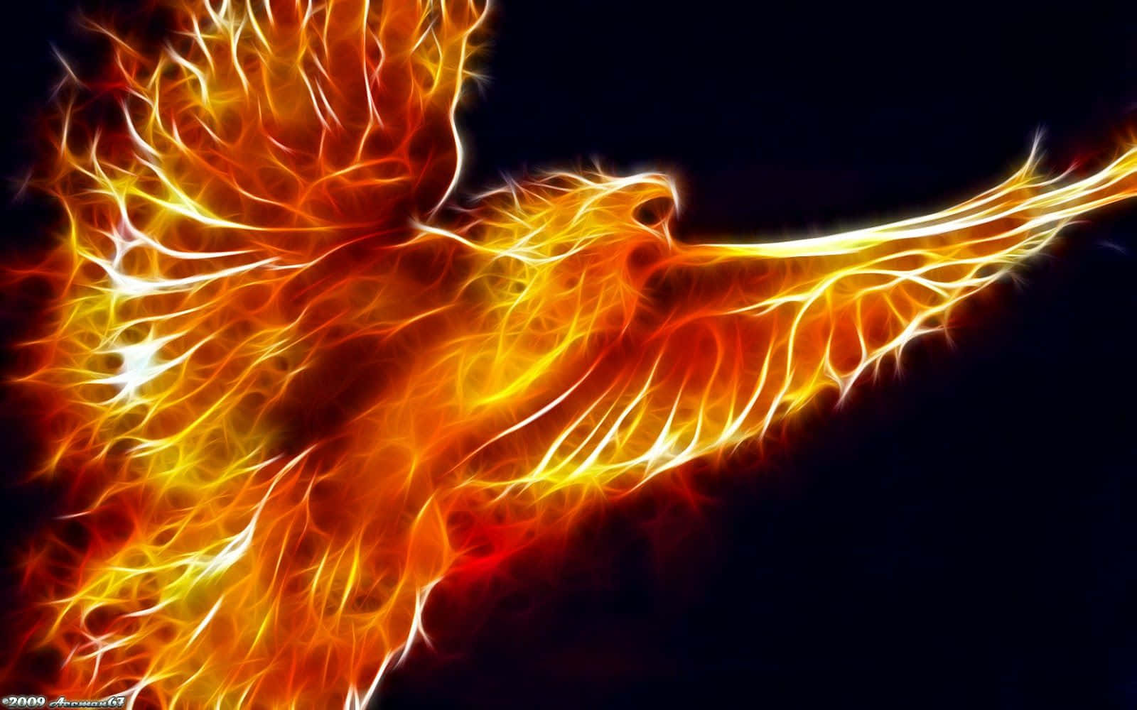 a fire bird with wings spread out