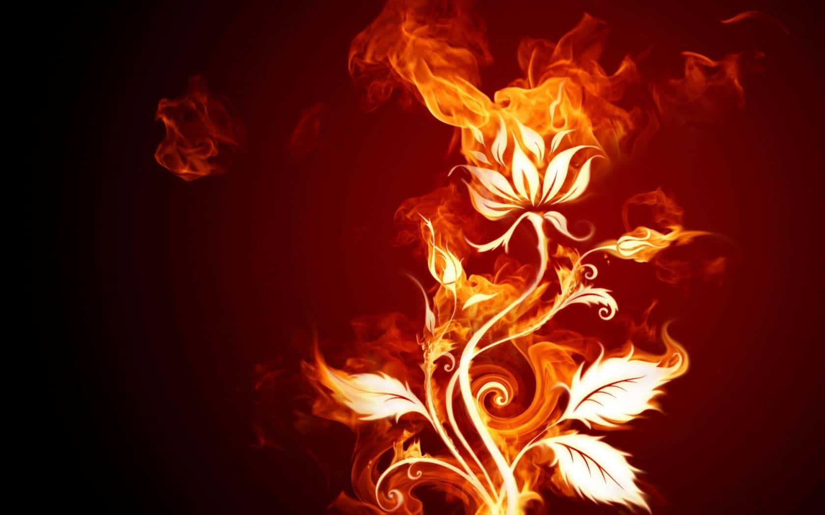 a fire flower on a black background