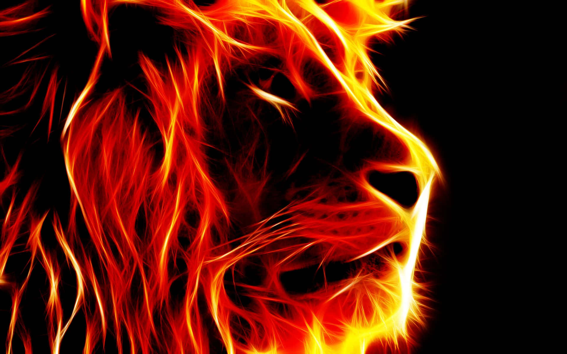 a lion's head in flames on a black background