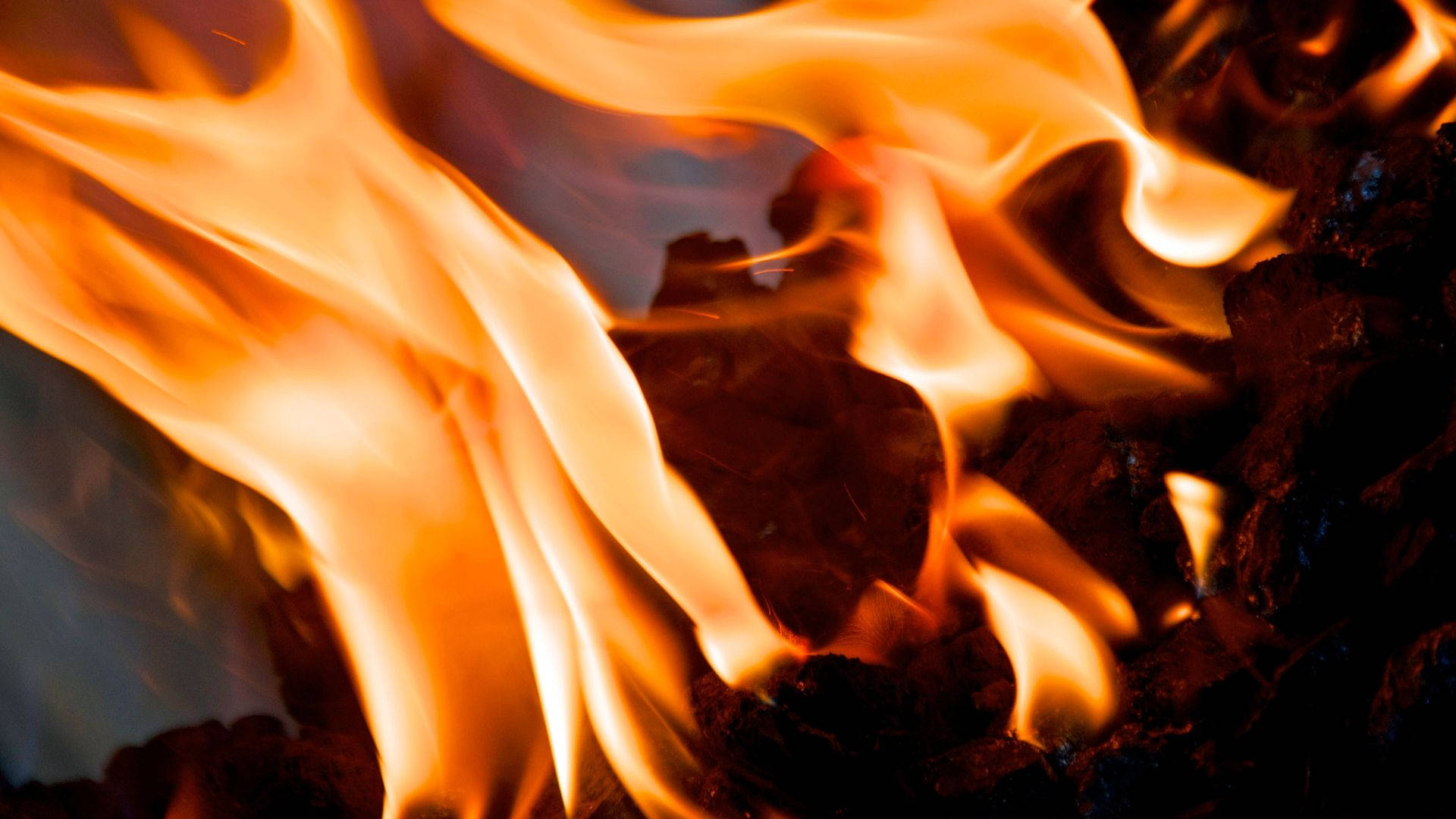 Fire Leaves Heat Background