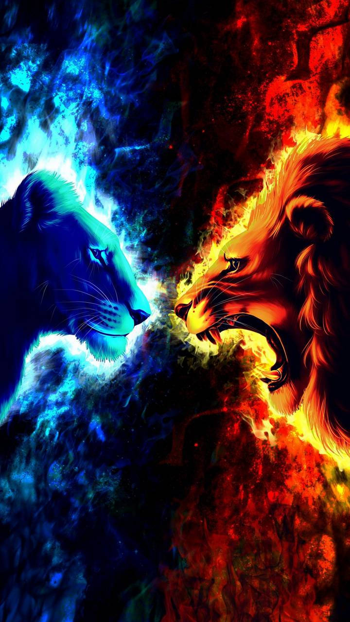 Fire Lion And Cold Lioness Wallpaper