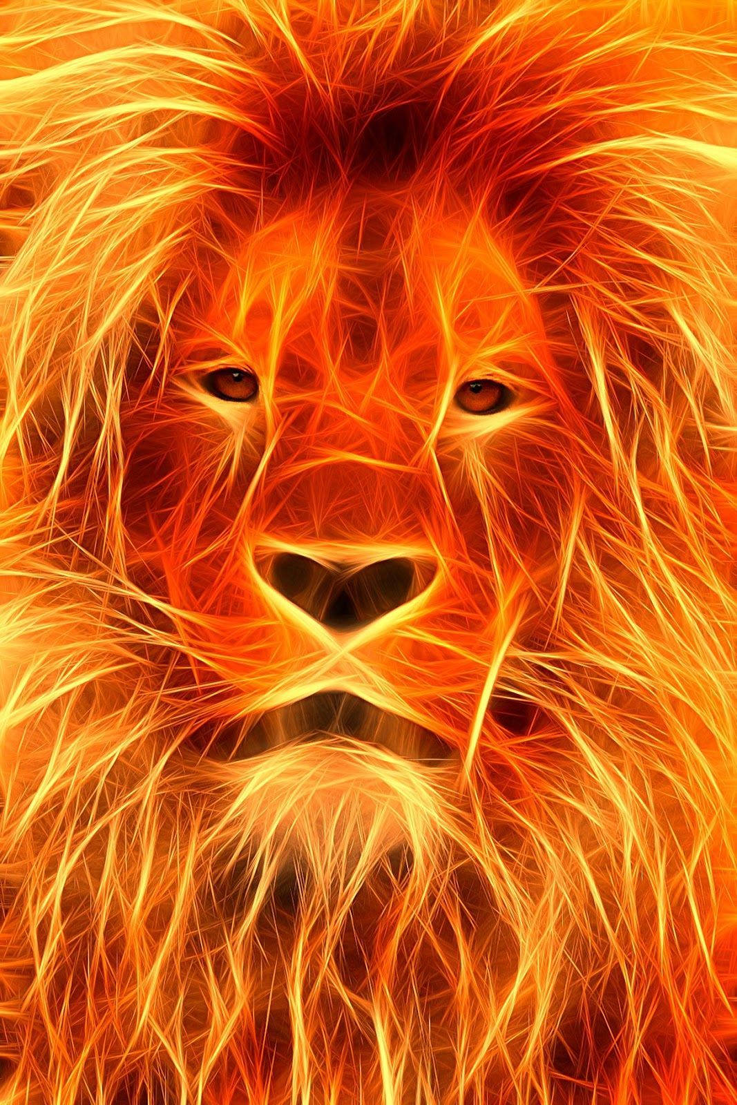 Download Fire Lion Face Wallpaper 