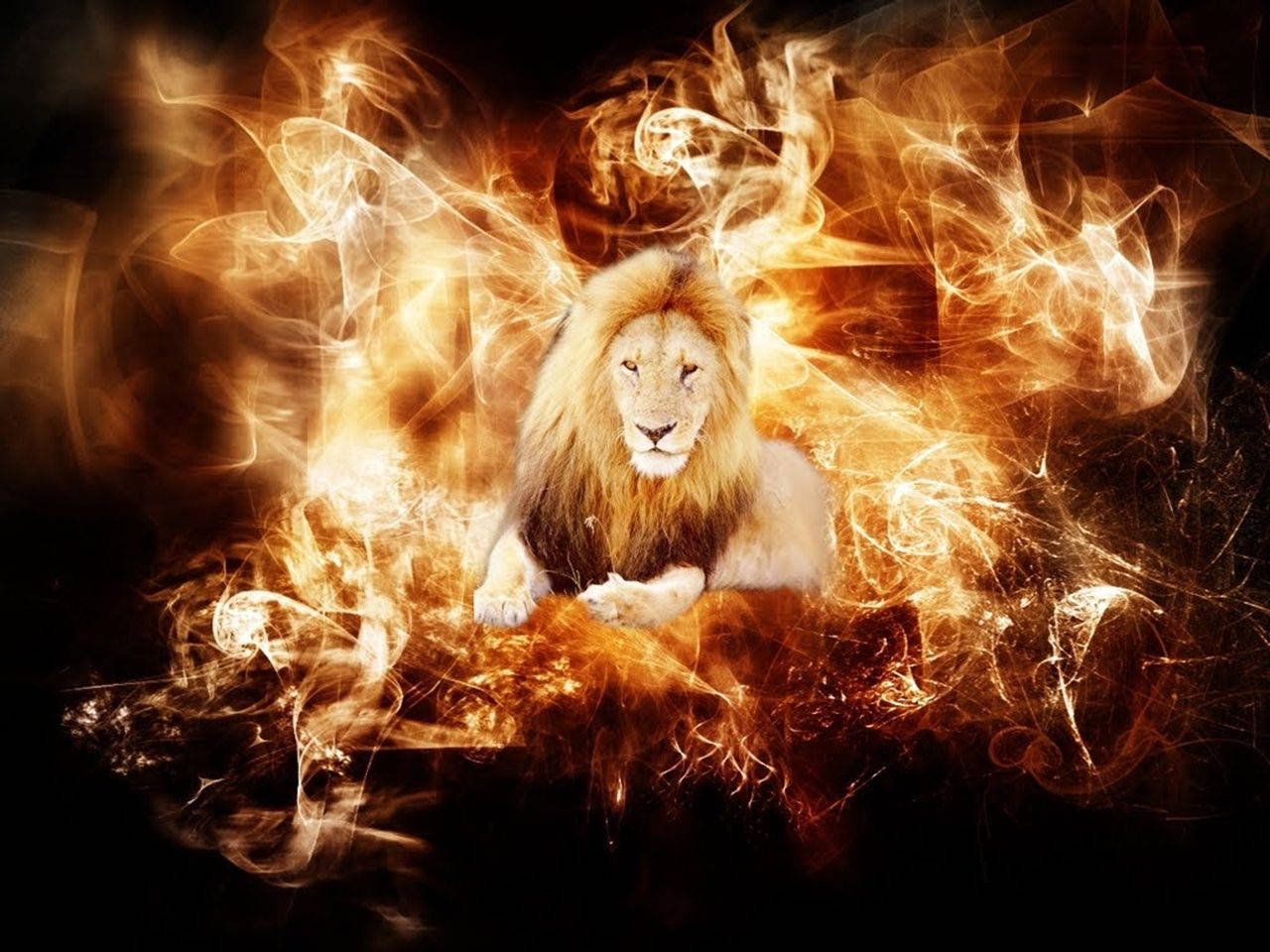 Fire Lion In Flaming Abstract Graphic Wallpaper