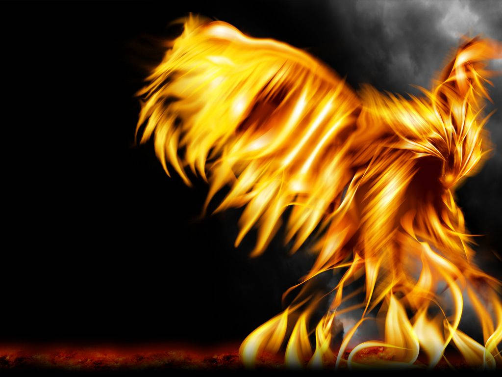 Fire Phoenix Black Background