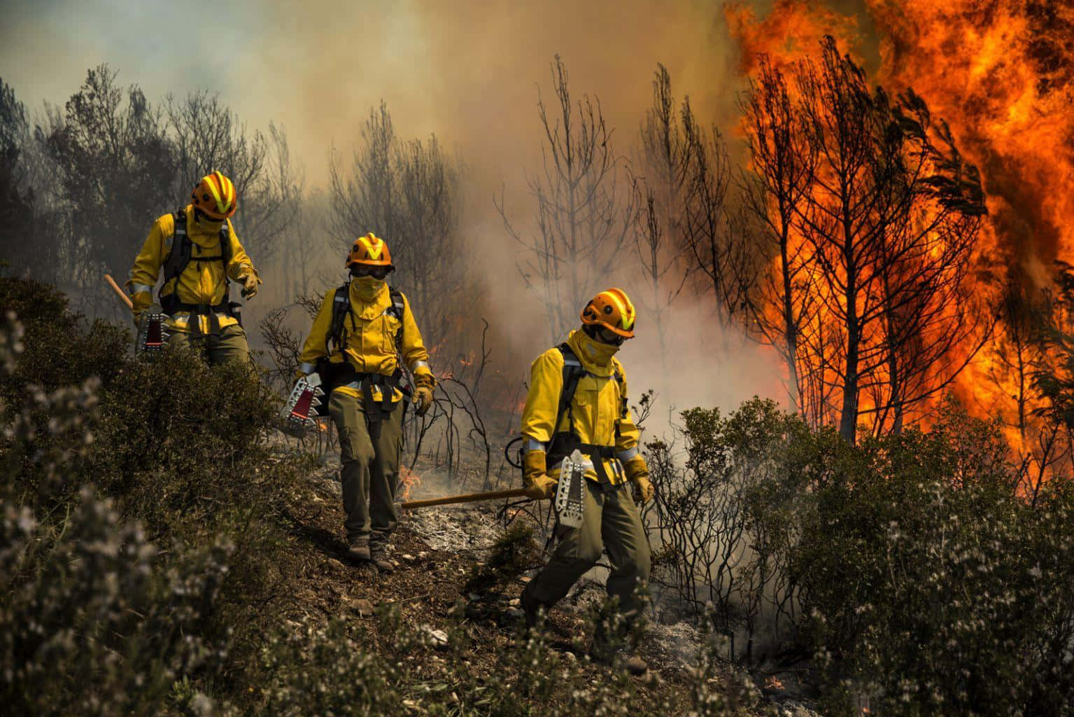 Brandmännengår Genom En Skog Med En Stor Eld.
