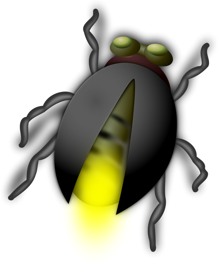 Firefly Illustration Graphic PNG