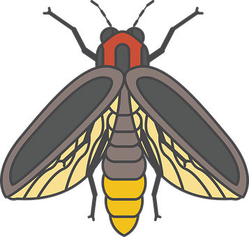 Firefly_ Illustration_ Vector PNG