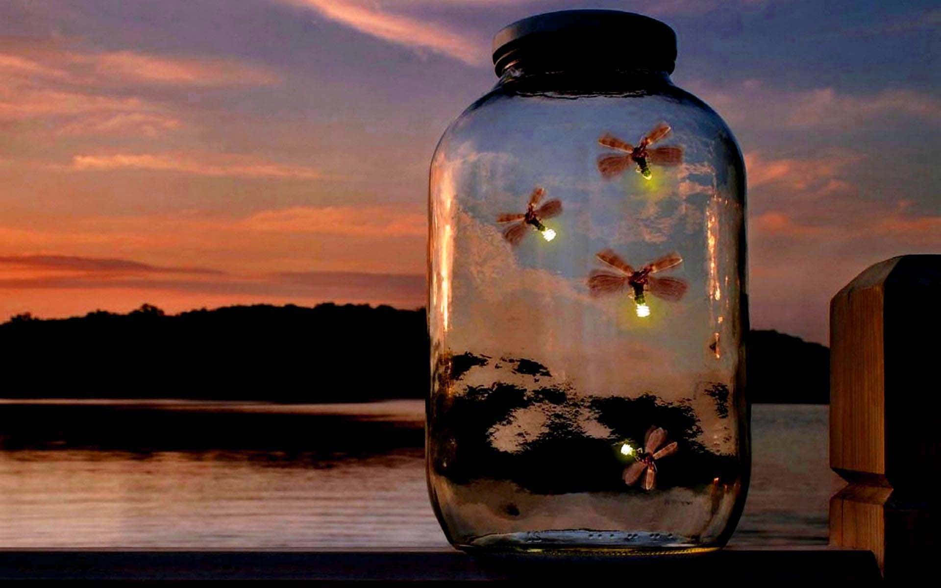 Captivating view of an illuminating firefly against the night sky