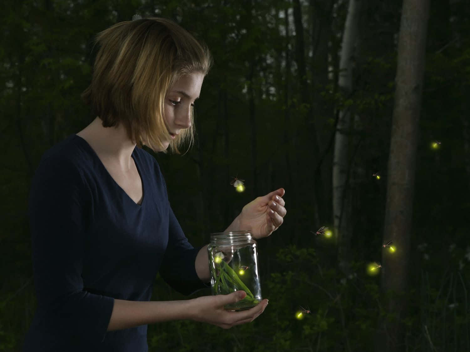 Enjoy the beauty of fireflies in nature