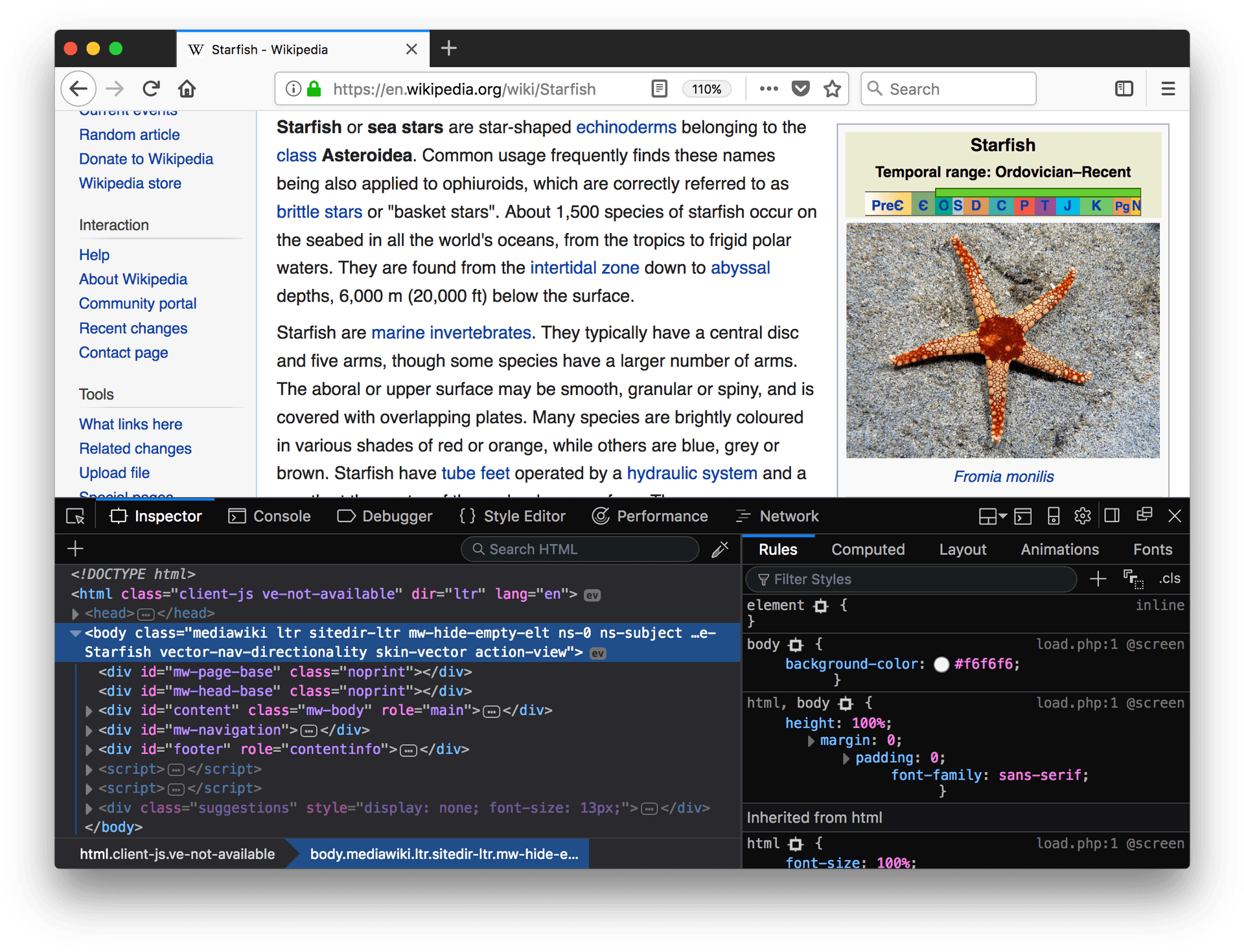Firefox Wikipedia Starfish Web Development PNG