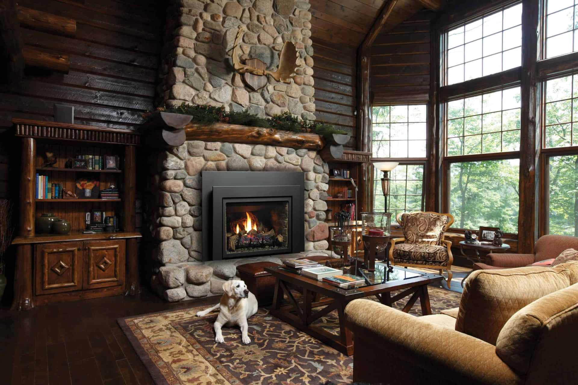 Enjoy the Cozy Warmth of a Fireplace