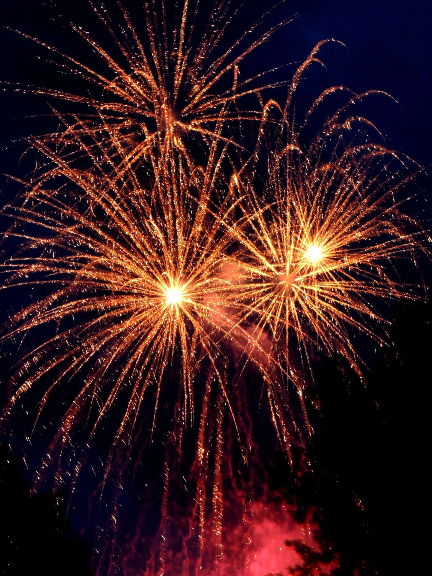 A vivid display of fireworks lighting up the night sky