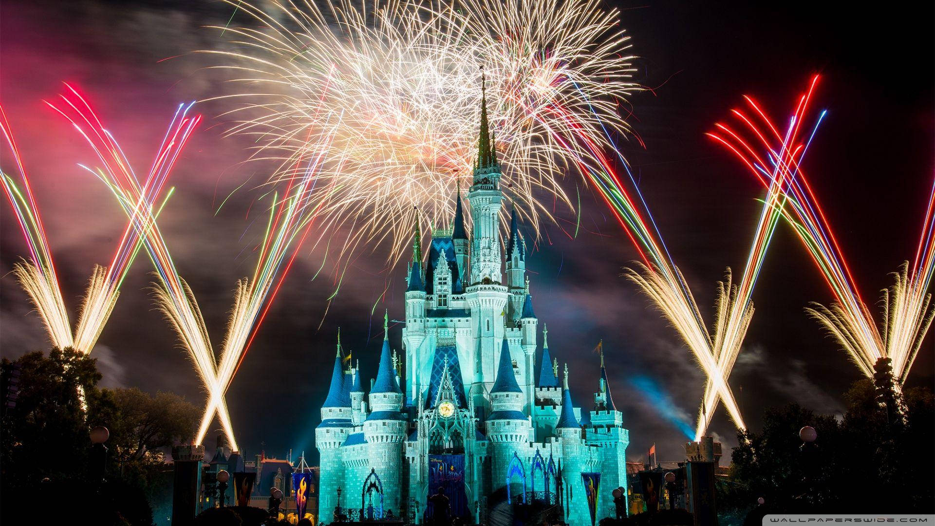 Fireworks Display Disney Castle Picture