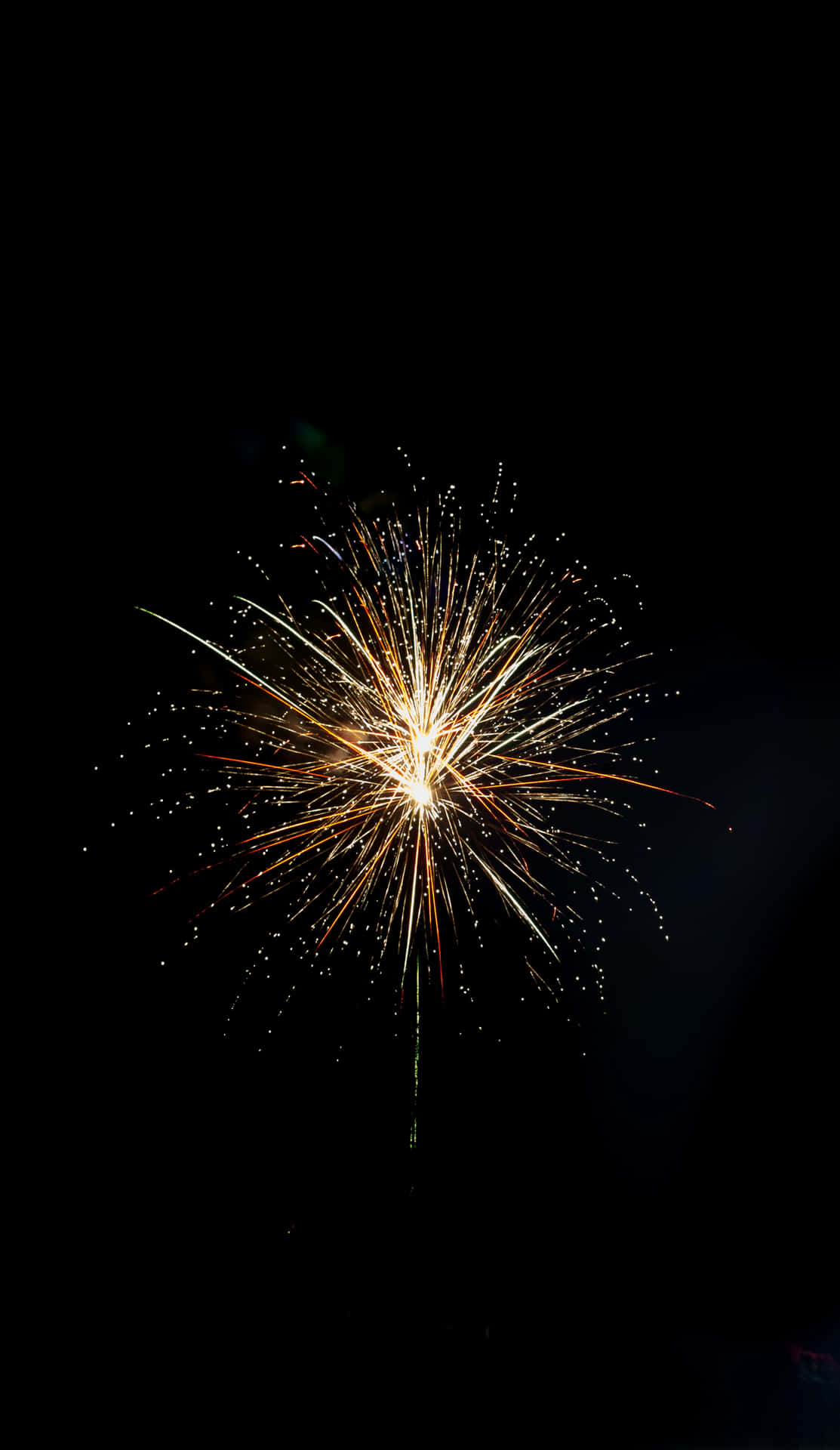 One Golden Fireworks Picture