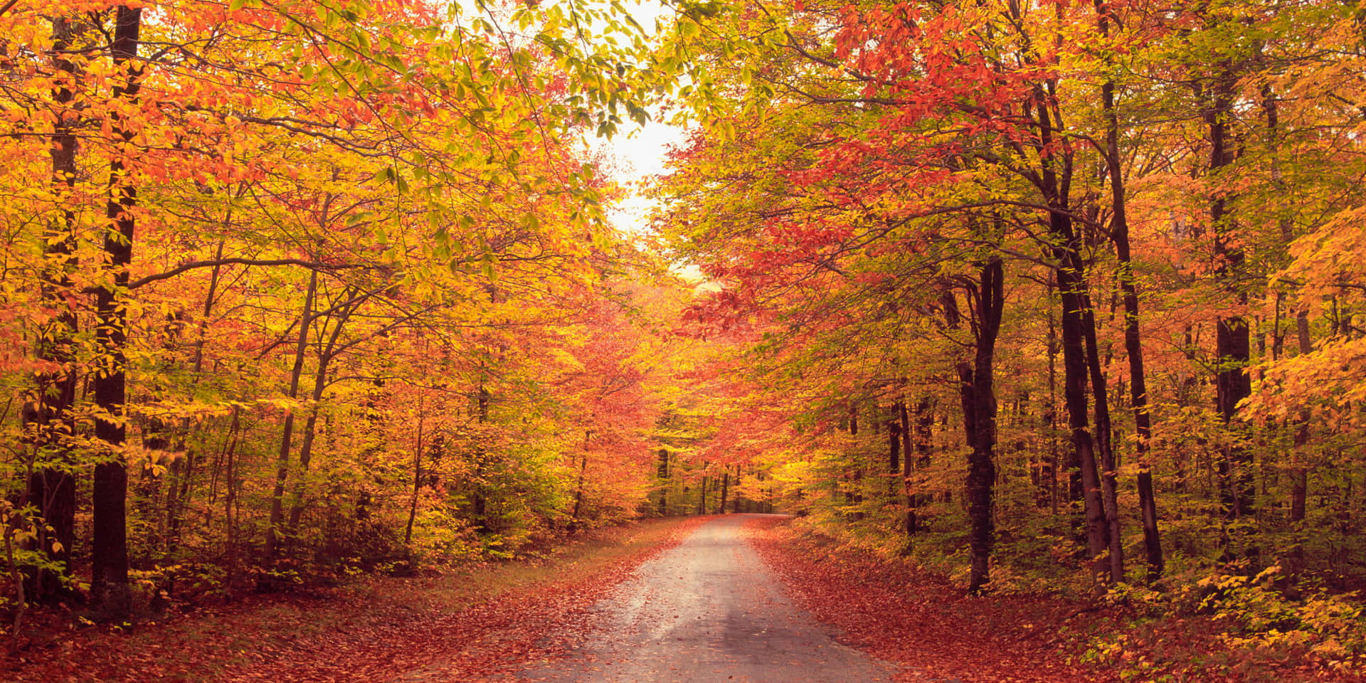 Welcoming the First Day of Fall with a Scenic Nature View Wallpaper